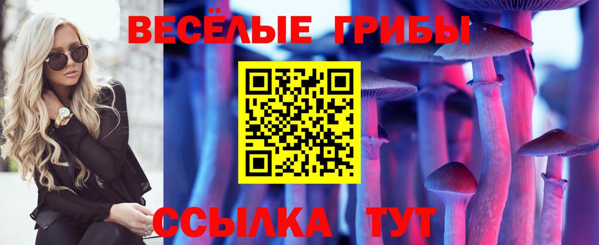 Псилоцибиновые грибы Psilocybine cubensis Скопин